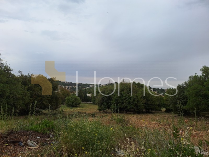 Land for sale in Dabouq for building a villa project area of 3737m