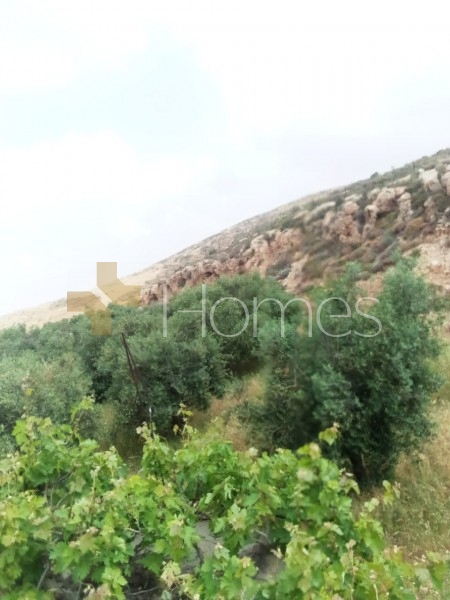 Land for building an investment farm for sale in Na'or area 13588m