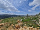 Land for building a private villa for sale in Al Bassa, an area 1203m