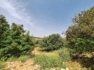 Land for sale in Al Fuhais for building a private villa area of 2000m