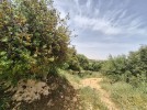 Land for sale in Al Fuhais for building a private villa area of 2000m