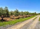 Farm with pool for sale in Na'or with a land area of 11800m