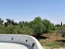 Farm with pool for sale in Na'or with a land area of 11800m