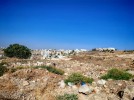 Land suitable for building housing for sale in Marj Al Hamam of 925m