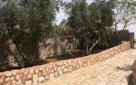 Chalet for sale in Al-Ghor with a land area of 864m