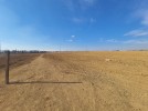 Land for sale suitable for private chalet on Al-Qastal, an area 700m