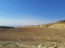 Land for sale suitable for building farm in Na'or with, area of 3950m